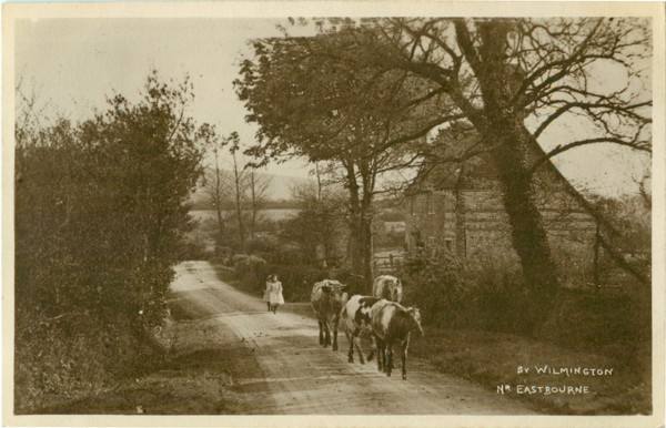 Sussex Postcards