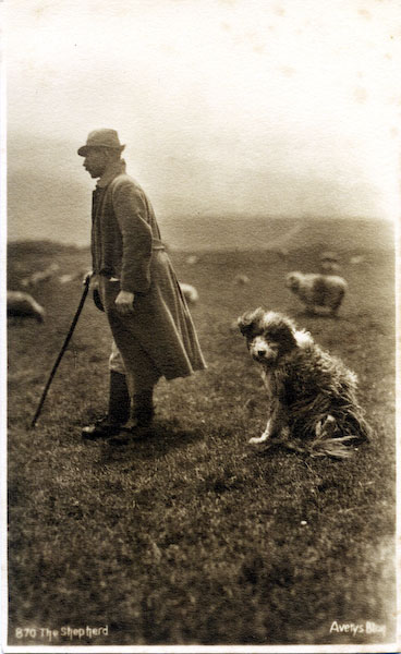 postcard