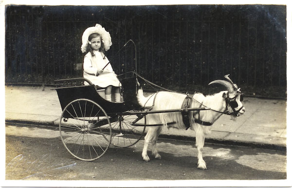 postcard