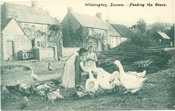 postcard