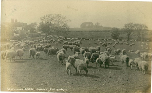 postcard