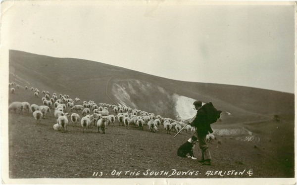 postcard