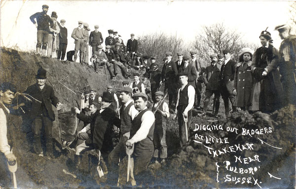 postcard