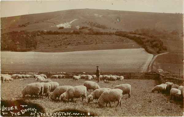 postcard