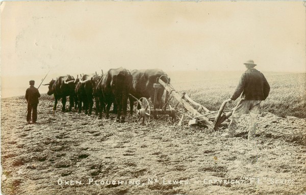postcard