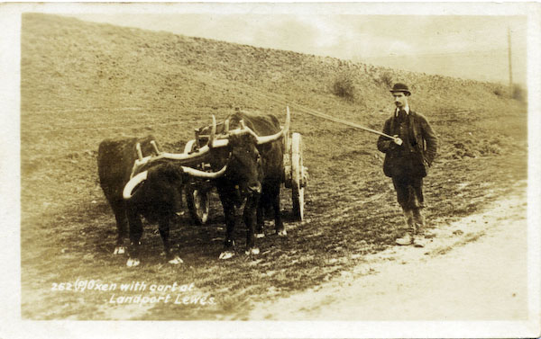 postcard