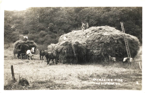 postcard