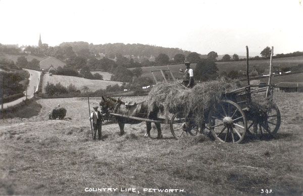 postcard