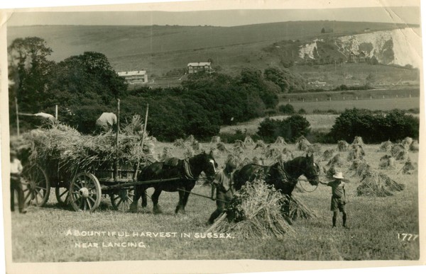 postcard