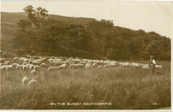 postcard