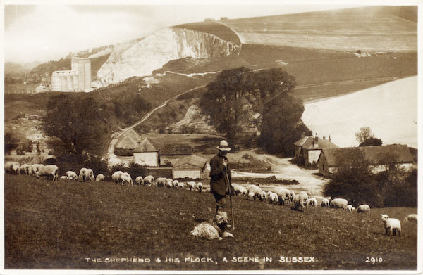 postcard