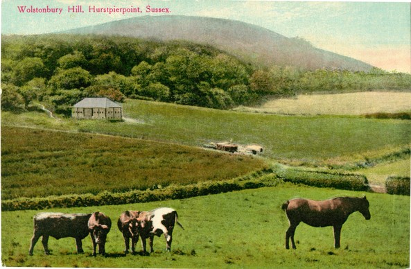 postcard