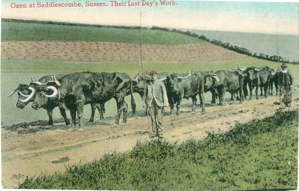 postcard