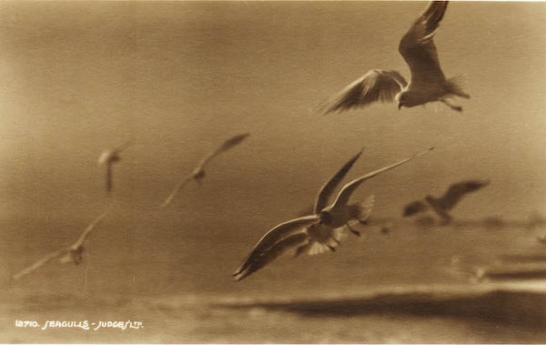 postcard