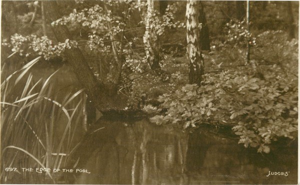 postcard