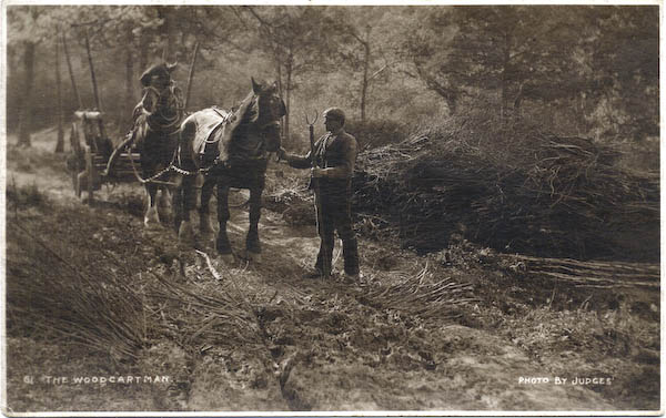 postcard