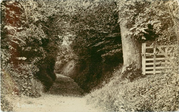 postcard