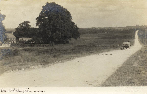 postcard