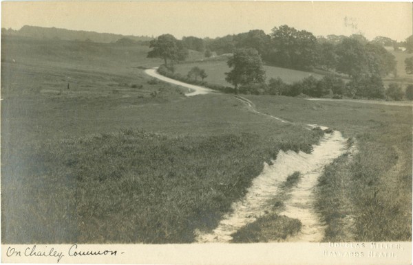 postcard