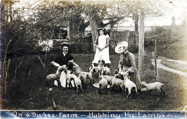 postcard