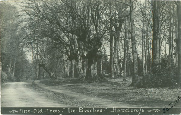 postcard
