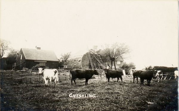 postcard