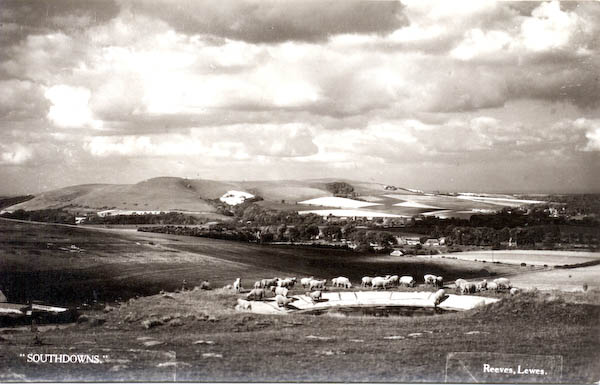 postcard