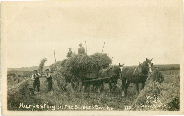 postcard