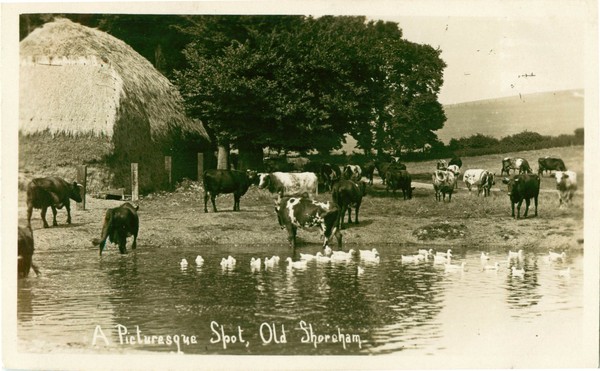postcard