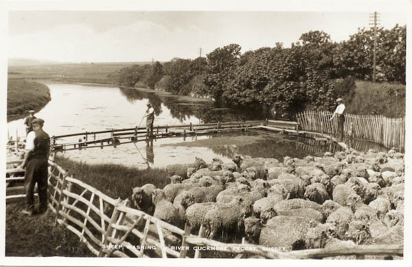 postcard