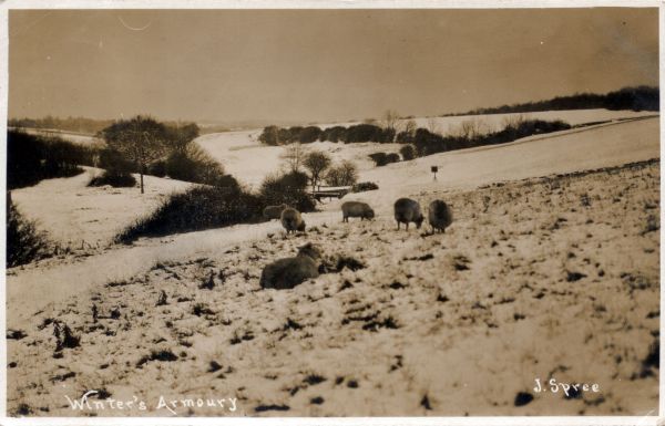 postcard