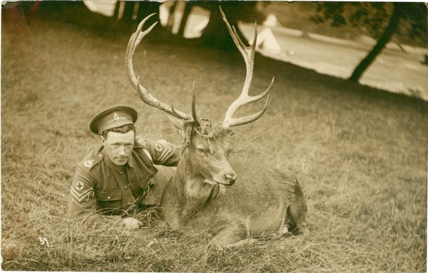 postcard
