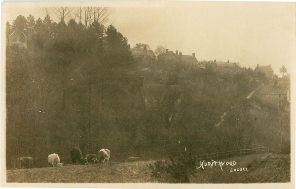 postcard
