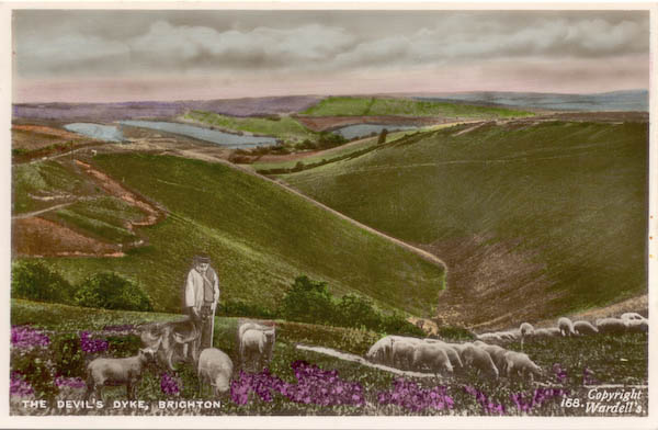 postcard