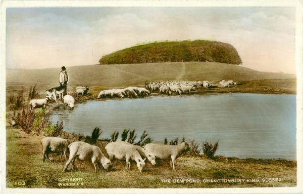 postcard