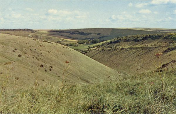 postcard