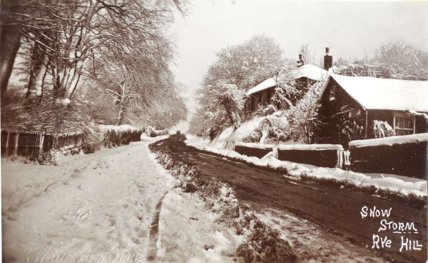 postcard